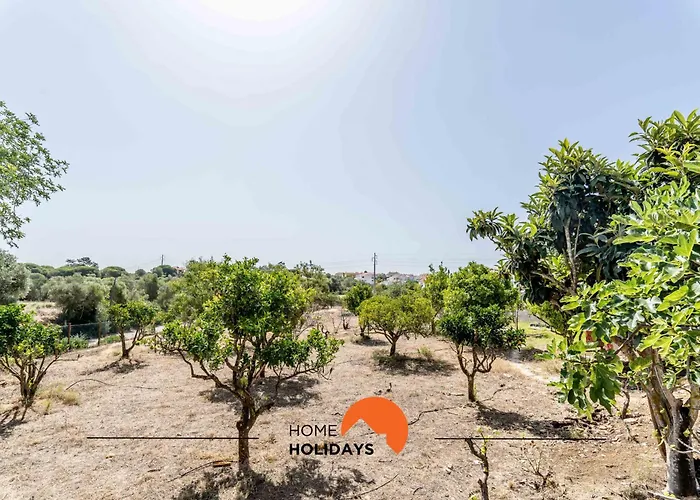 펜션 #179 Monte Churras 2 By Holidays 알부페이라